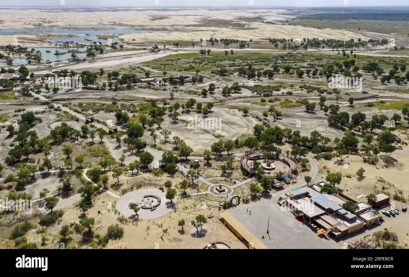 (190821) -- YULI, Aug. 21, 2019 -- Aerial photo taken on June 19, 2019 shows the part view of Lop Nur People Village in Yuli County, northwest China s Xinjiang Uygur Autonomous Region. Lop Nur People Village is located in Yuli County, where Tarim River flows through the deserts with populus euphratica forests reflection on the shimmering waves. Amudun Abudu, a 61-year old typical Lop Nur villager, works in local tourism industry. With the changes of the times, many Lop Nur people have various options for a living, yet he insists on the tradition of fishing in rivers and lakes. Not only does he Stock Photo