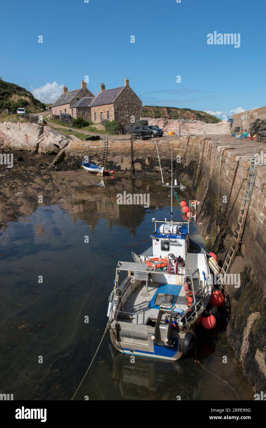 Cove Harbour, Cove, Cockburnspath, Scottish Borders, Scotland 2023