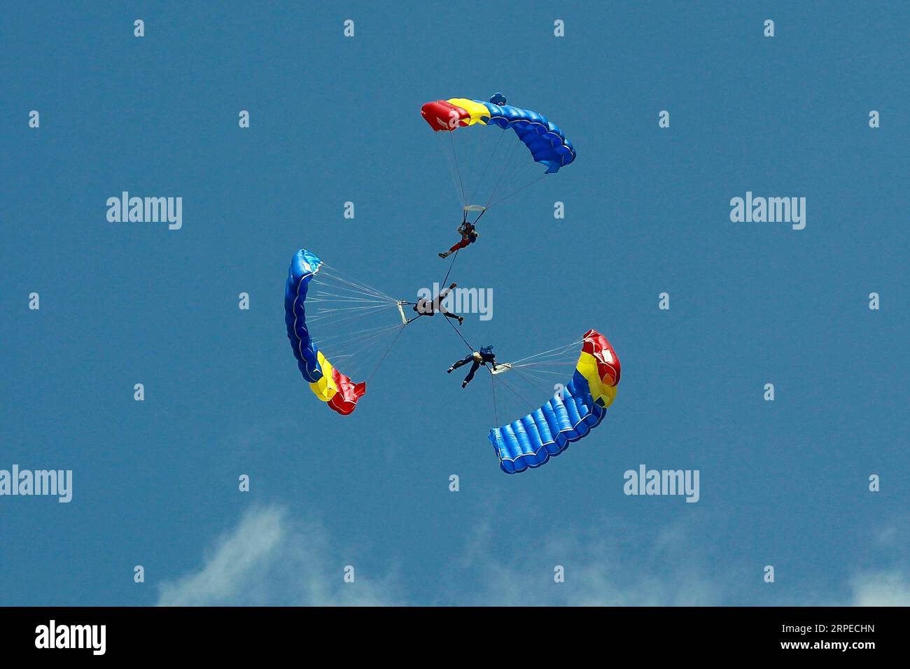 (190824) -- BUCHAREST, Aug. 24, 2019 (Xinhua) -- Romanian paratroopers of the Blue Wings perform during the Bucharest International Air Show in Bucharest, Romania, on Aug. 24, 2019. Bucharest International Air Show and General Aviation Exhibition was held here on Saturday, bringing over 100 aircrafts to the public. (Photo by Cristian Cristel/Xinhua) ROMANIA-BUCHAREST-INTERNATIONAL AIR SHOW PUBLICATIONxNOTxINxCHN Stock Photo