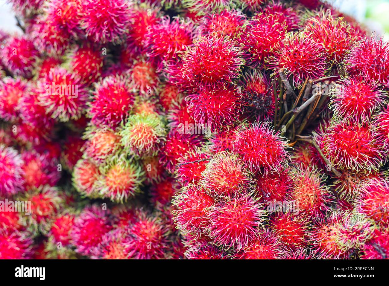 Rambutan sale market hi-res stock photography and images - Alamy