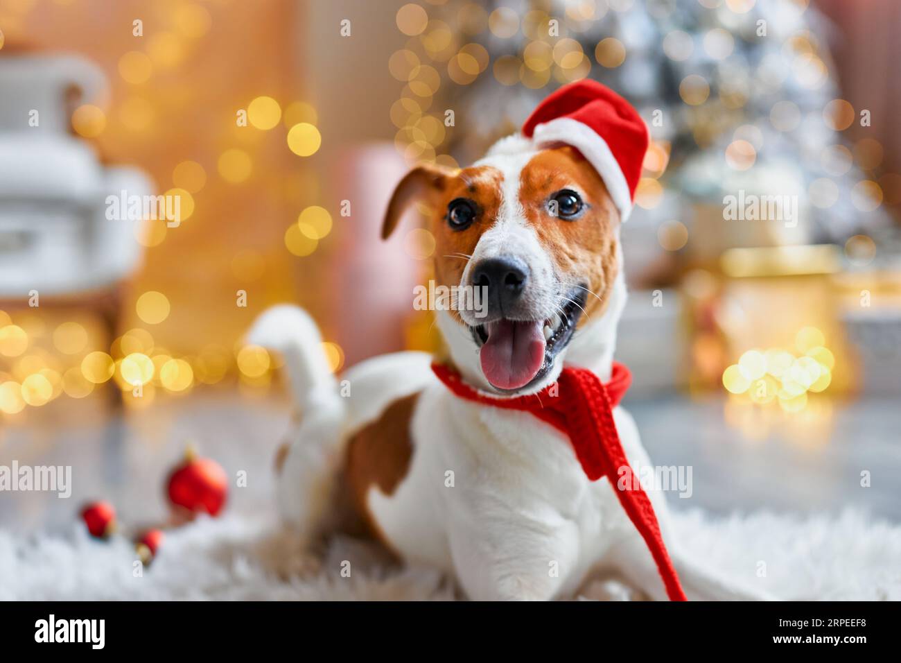 Merry christmas jack deals russell