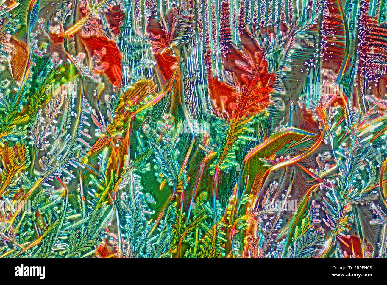 The image presents crystallized mixture of paracetamol, urea and