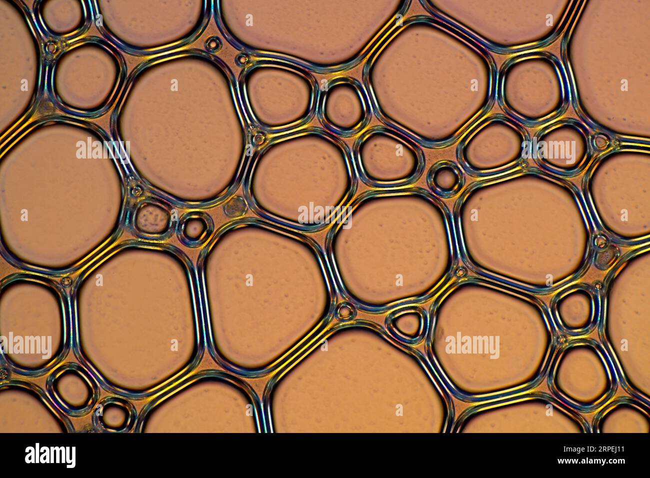 The image presents air bubbles formed in foemaed milk photographed