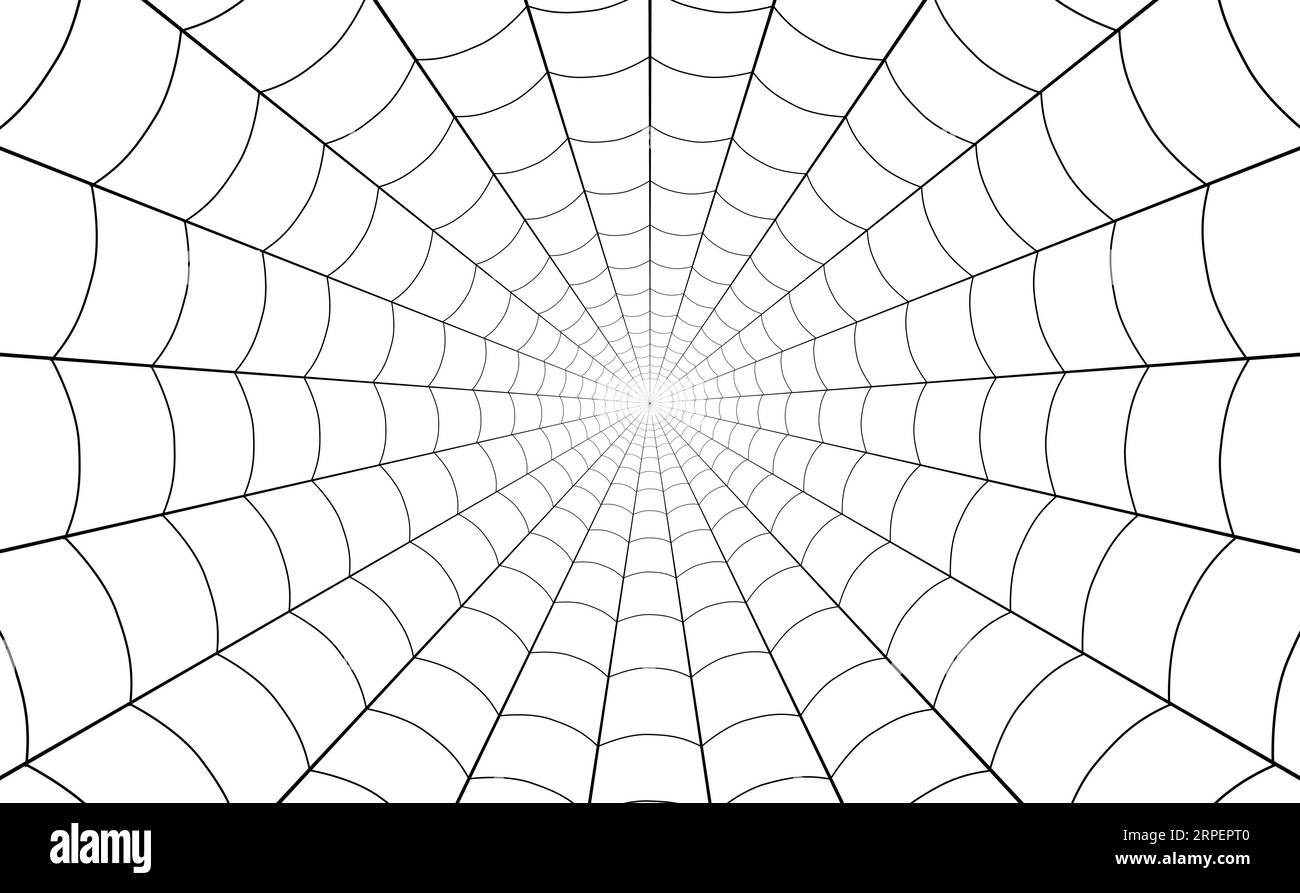 Spider web, net of thread cobweb background Stock Vector