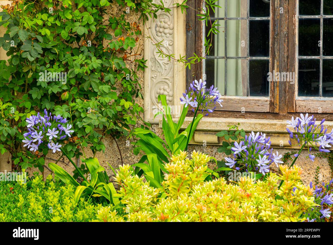 Summer flowers in the garden borders at How Hill House near Ludham in