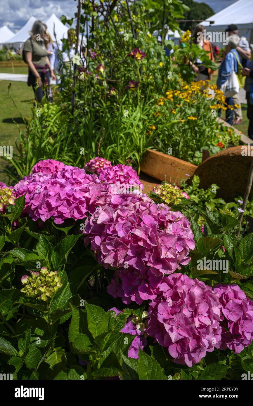 Visitors & colourful garden flowers horticultural raised bed
