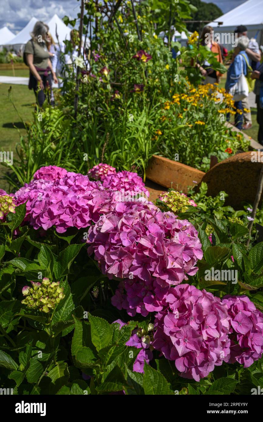 Visitors & colourful garden flowers - horticultural raised bed competition entry, RHS Tatton Park Flower Show 2023 showground, Cheshire England UK. Stock Photo
