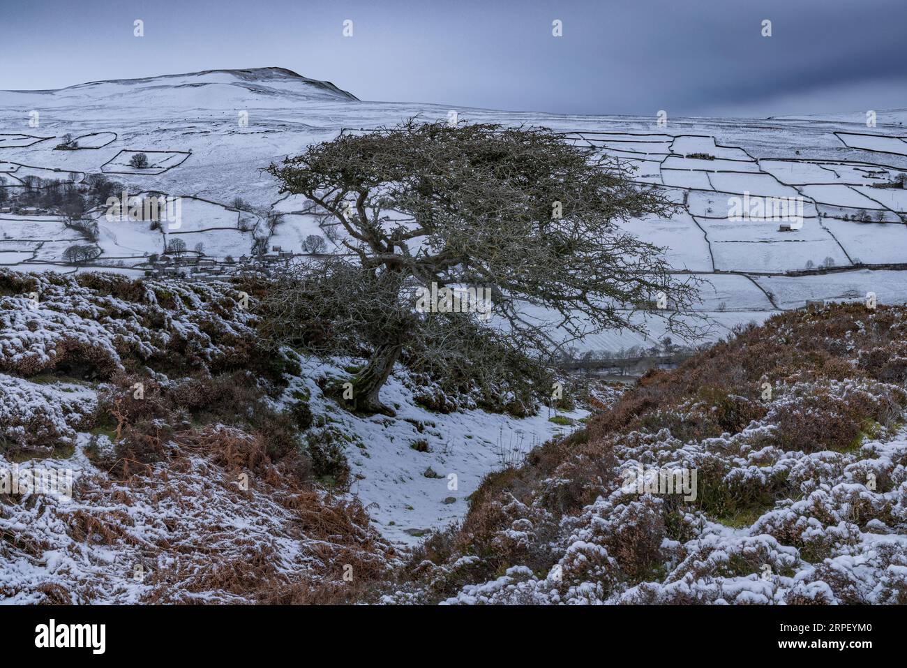 Snow covered Calver Hill Photographed from Harkerside Moor near Maiden Castle, Reeth, Swaledale, Yorkshire Dales, North Yorkshire, UK Stock Photo