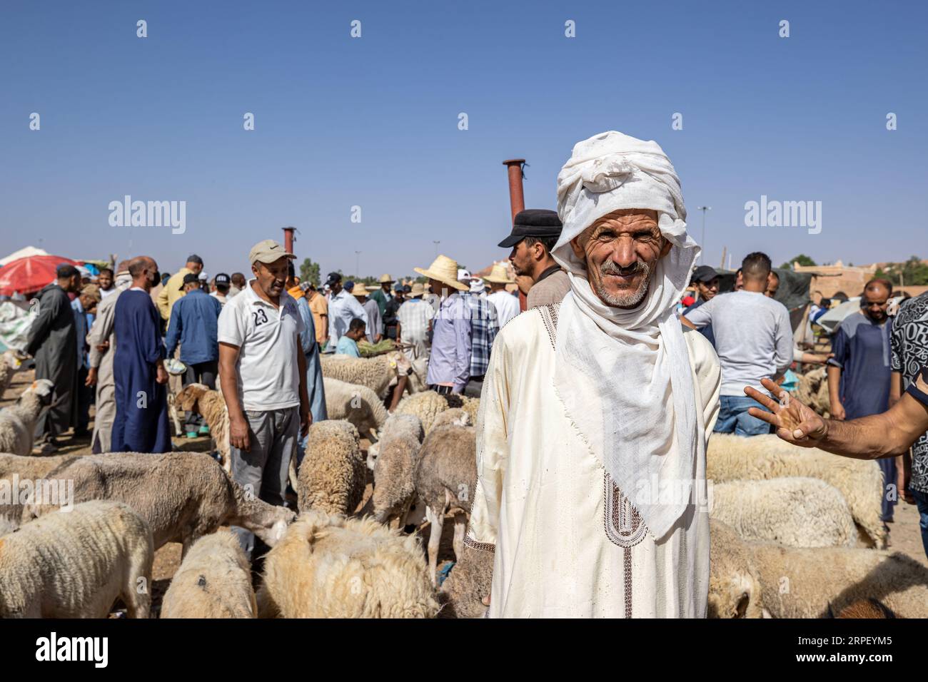 Morocco - Tinghir - Livestock market - Souk - Before the Aid El Adha (Eid El Kebir) Stock Photo