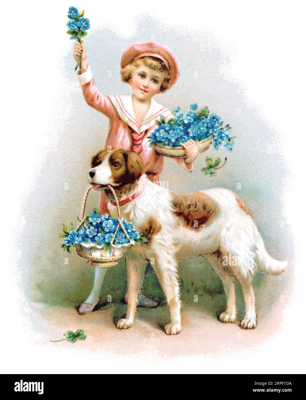 Edwardian sentimental illustration of a boy with his dog and a basket of forget-me-nots. Stock Photo