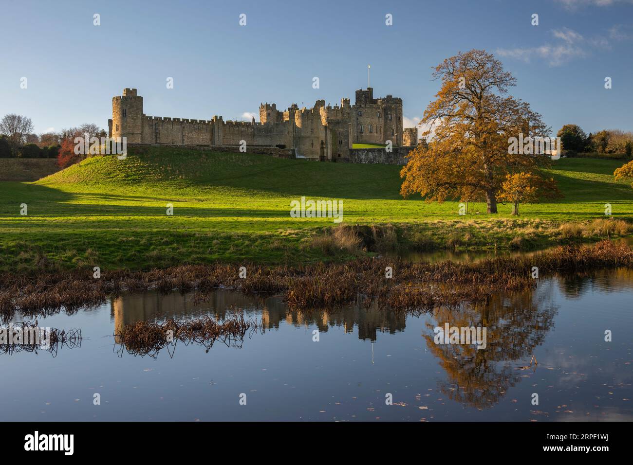 Autumn colours on the banks of the river Aln with Alnwick Castle in the background, Alnwick, Northumberland, UK autumn/winter (November) Stock Photo