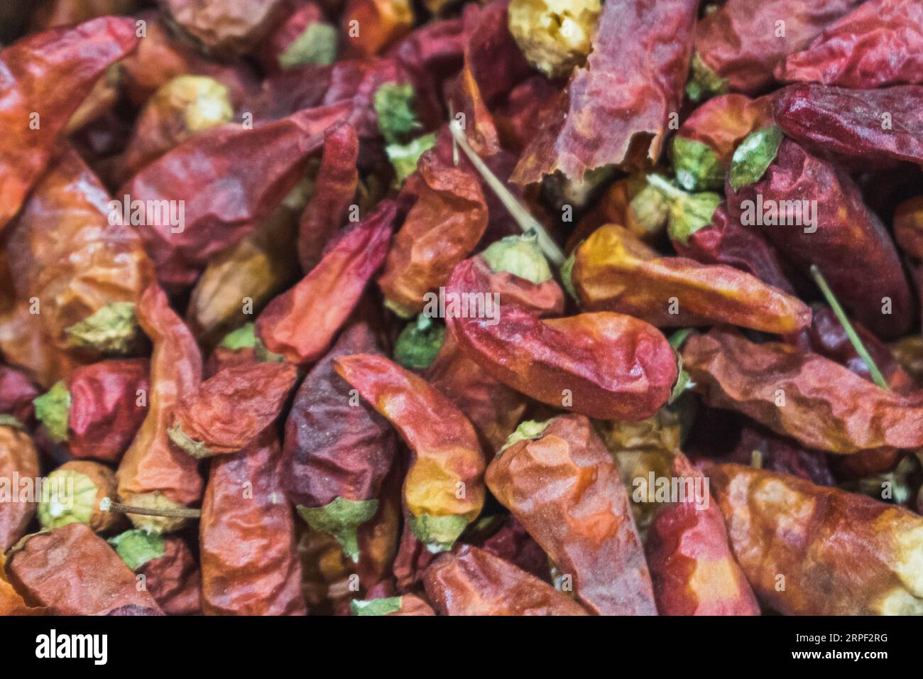 Dried paprika chilies hi-res stock photography and images - Alamy