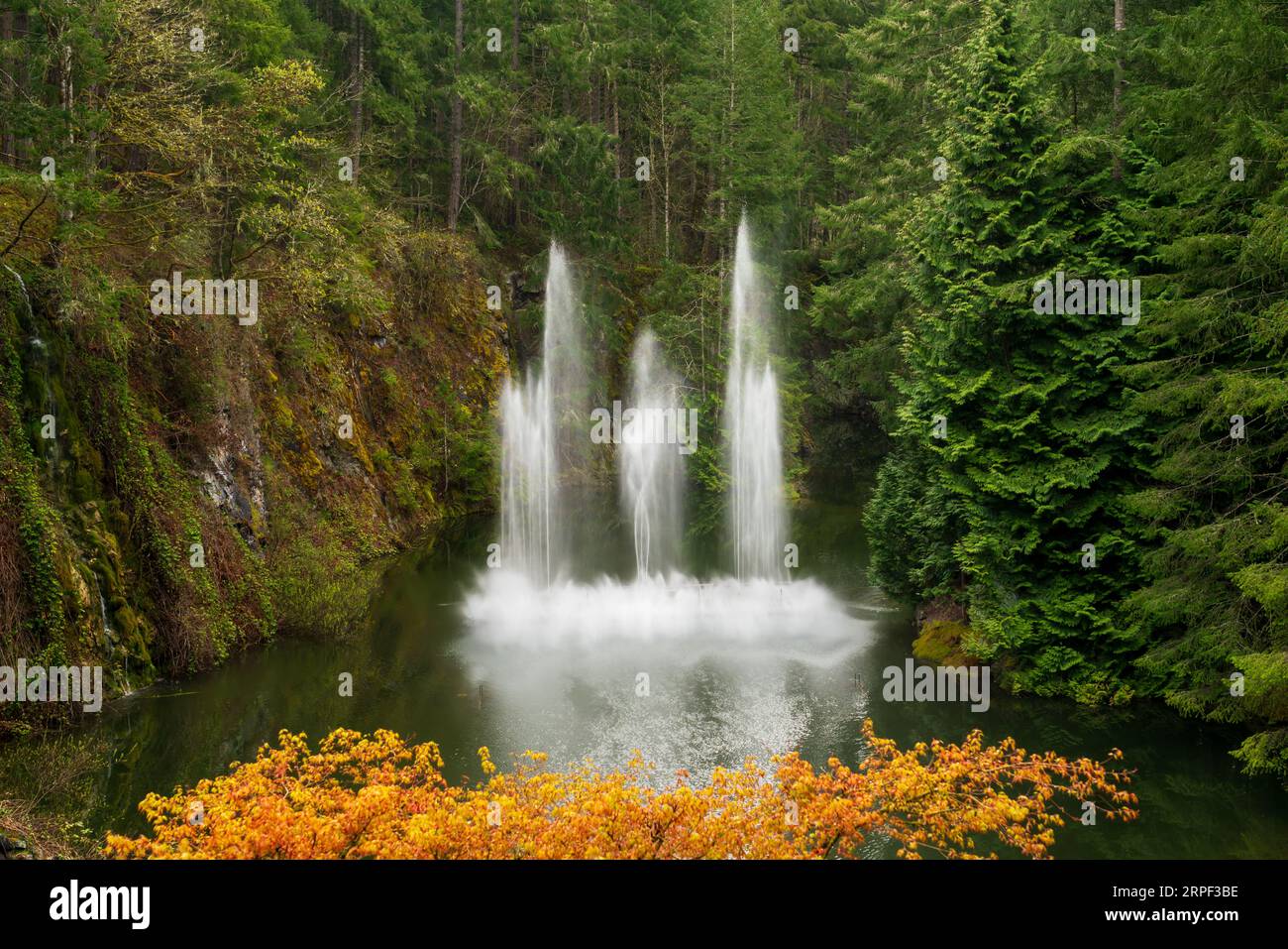 The spring season flower display at the Butchart Gardens, Victoria, Vancouver Island, British Columbia, Canada. Stock Photo