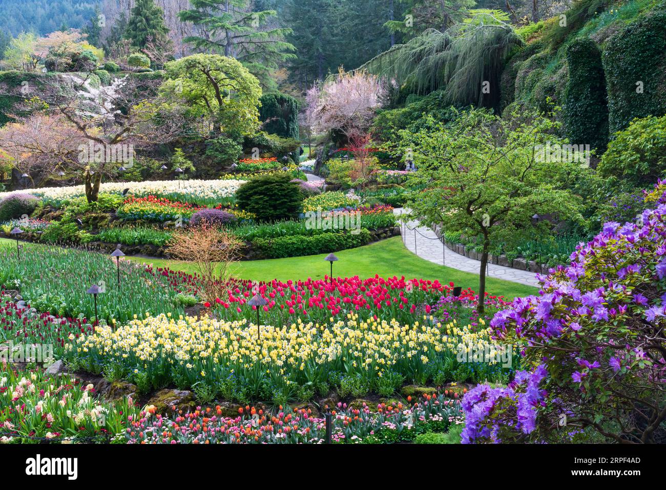 The spring season flower display at the Butchart Gardens, Victoria