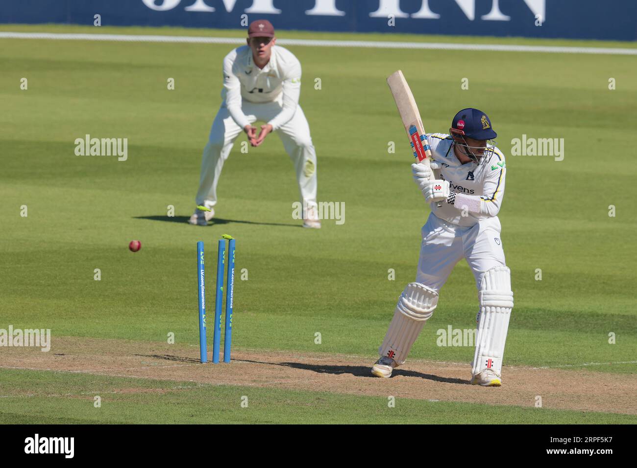 London, UK. 4th Sep, 2023. Warwickshire's Ed Barnard is bowled by Kemar Roach as Surrey take on Warwickshire in the County Championship at the Kia Oval, day two. Credit: David Rowe/Alamy Live News Stock Photo