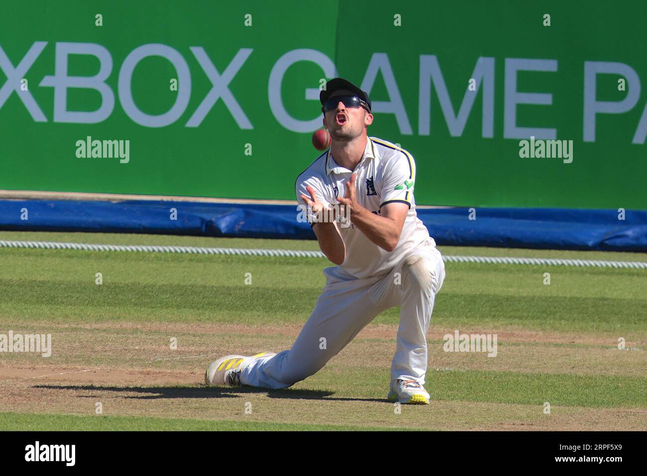London, UK. 4th Sep, 2023. Surrey's Ben Foakes is finally out caught Ed Barnard Bowled Danny Briggs as Surrey take on Warwickshire in the County Championship at the Kia Oval, day two. Credit: David Rowe/Alamy Live News Stock Photo
