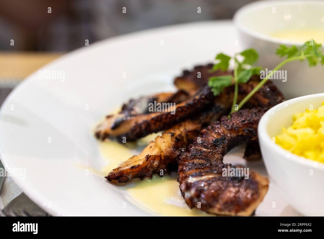 Grilled octopus with greens laying on a white plate, close up photo with selective soft focus Stock Photo