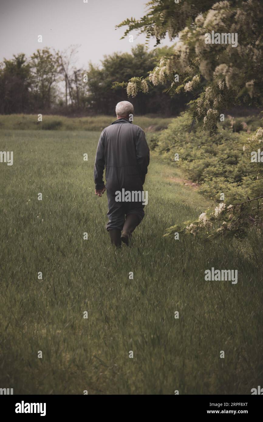 Farmer works in fields hi-res stock photography and images - Alamy