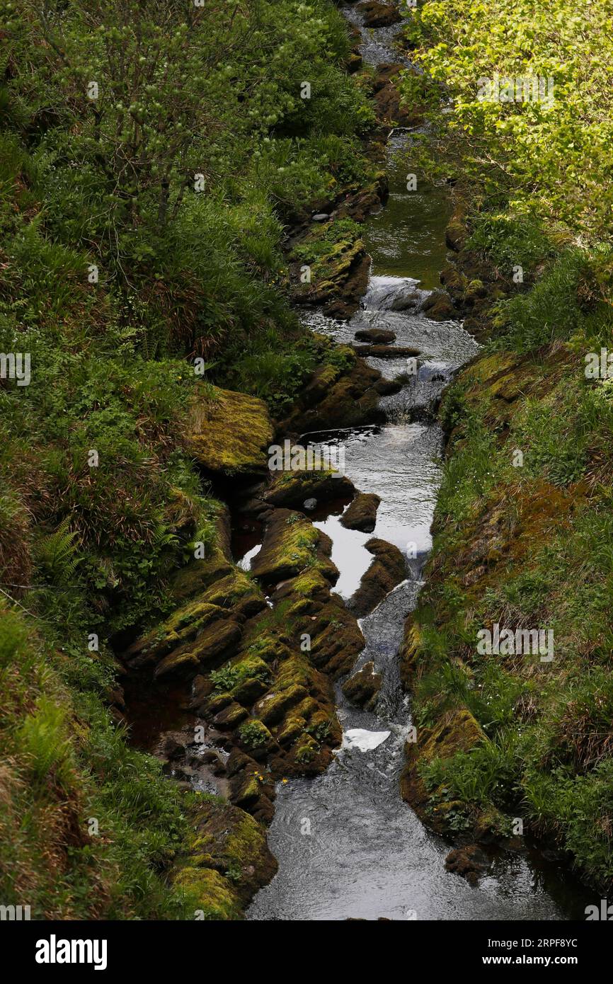 Scotlandish hires stock photography and images Alamy