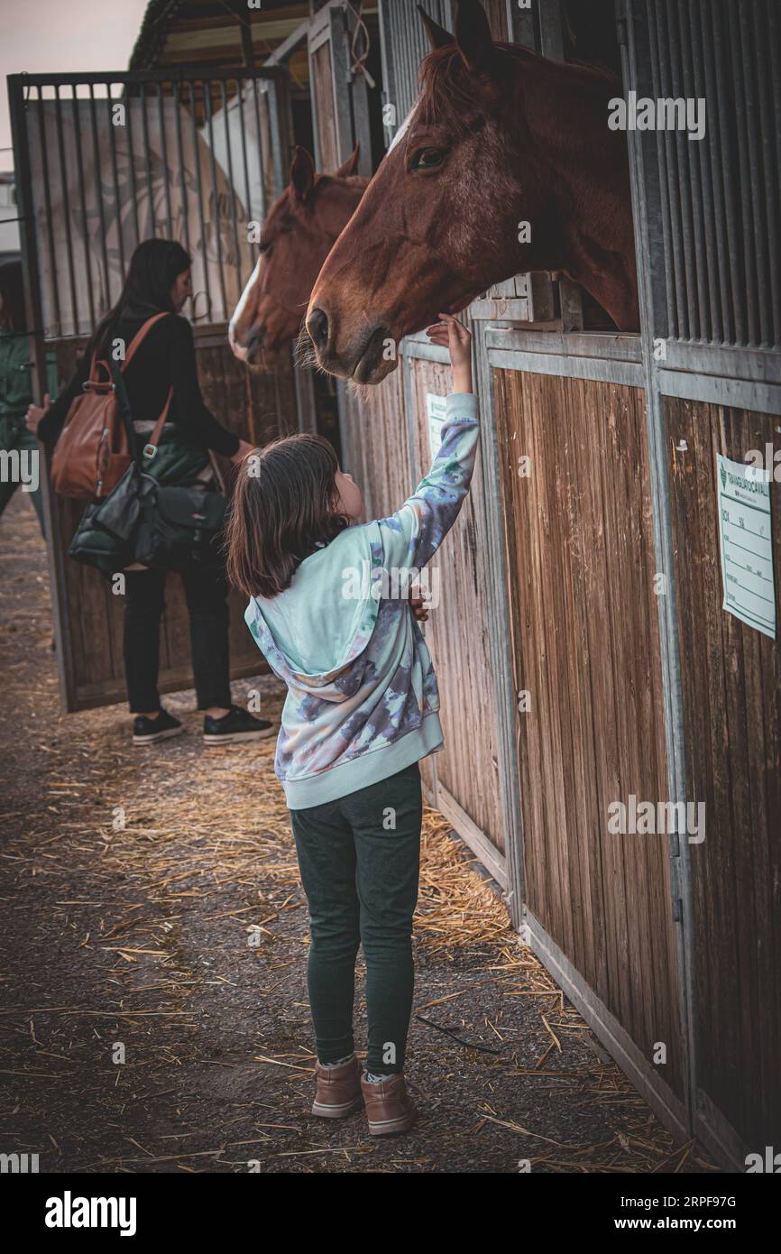 Baby girl with horses Stock Photo