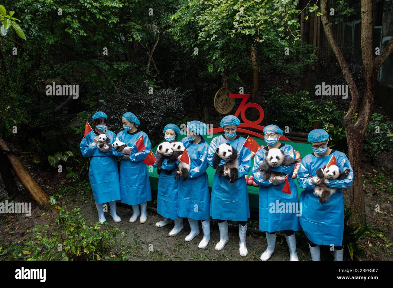 190924 -- CHENGDU, Sept. 24, 2019 -- Breeders holding giant panda cubs pose for photos at Chengdu Research Base of Giant Panda Breeding in Chengdu, capital of southwest China s Sichuan Province, on Sept. 24, 2019. A total of seven giant panda cubs born in the base in 2019 met the public here Tuesday.  CHINA-CHENGDU-GIANT PANDA-CUBS CN JiangxHongjing PUBLICATIONxNOTxINxCHN Stock Photo