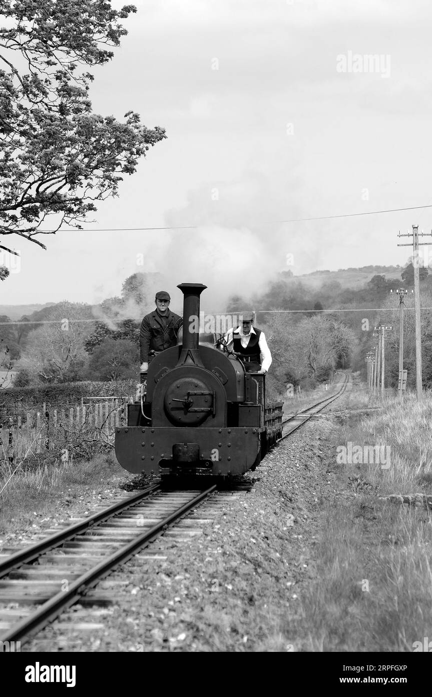 'Winifred' north of Llanuwchllyn with a train of slate wagons. Stock Photo