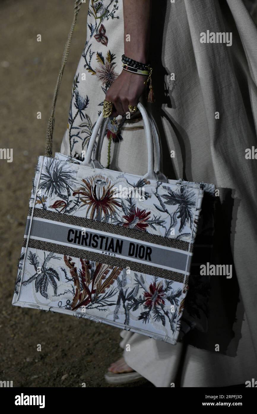 Dior Spring Summer 2020 Bag Preview