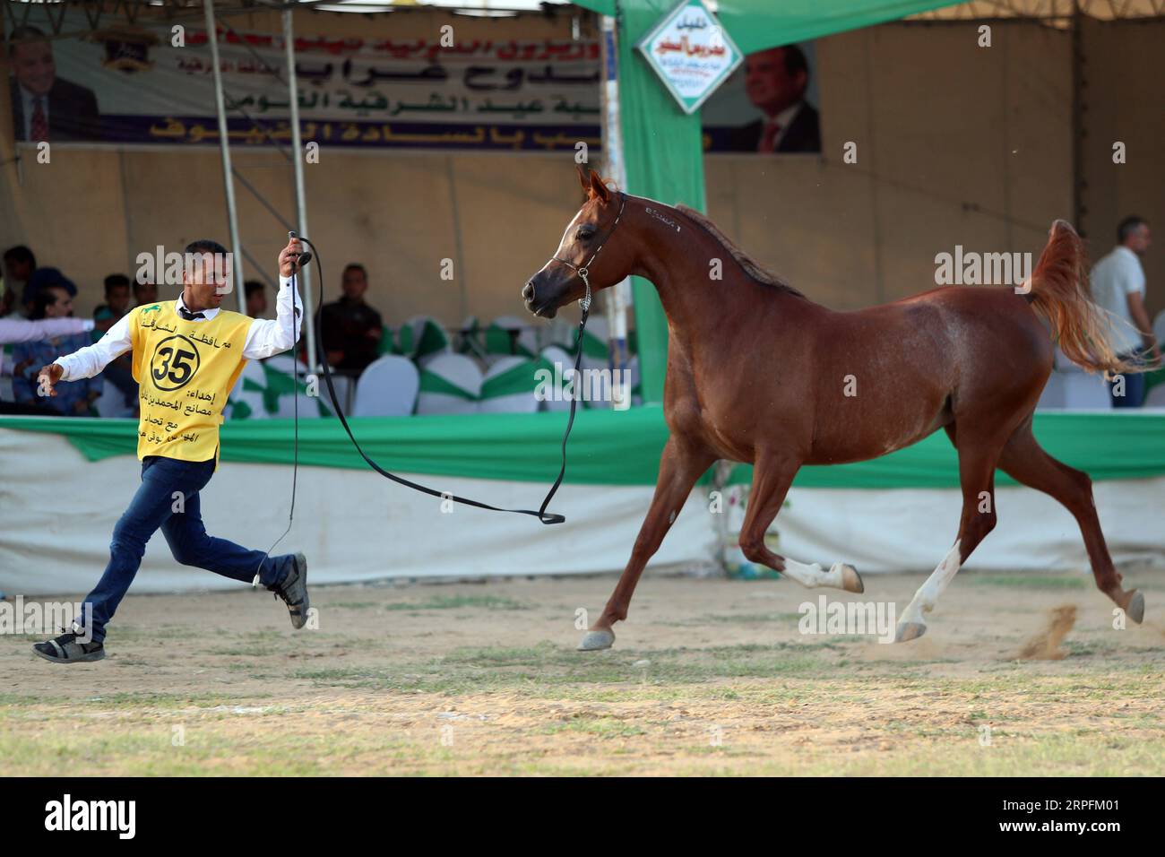 Sharkia hi-res stock photography and images - Alamy