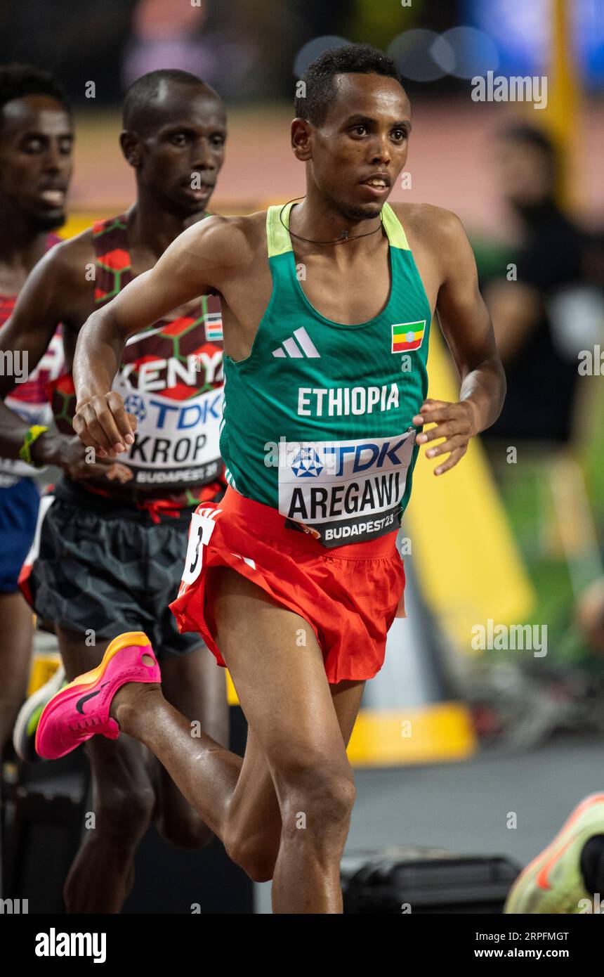 berihu-aregawi-of-ethiopia-competing-in-the-men-s-5000m-final-on-day-9