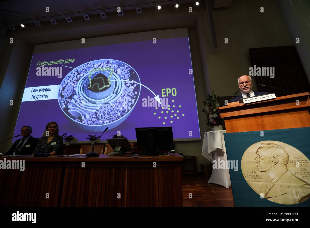 191007 -- STOCKHOLM, Oct. 7, 2019 -- Photo taken on Oct. 7, 2019 shows the announcement of the 2019 Nobel Prize in Physiology or Medicine at the Karolinska Institute in Stockholm, Sweden, Oct. 7, 2019. The prize was awarded jointly to William G. Kaelin Jr, Peter J. Ratcliffe and Gregg L. Semenza for their discoveries of how cells sense and adapt to oxygen availability, said the Nobel Assembly at the Karolinska Institute.  SWEDEN-STOCKHOLM-2019 NOBEL PRIZE ANNOUNCEMENT-PHYSIOLOGY OR MEDICINE ZhengxHuansong PUBLICATIONxNOTxINxCHN Stock Photo