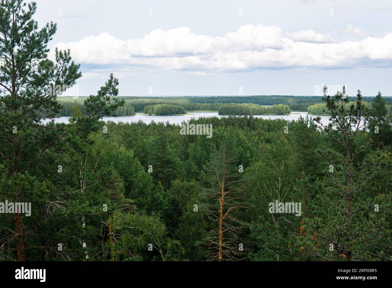 Aerial mixed boreal forest hi-res stock photography and images - Alamy