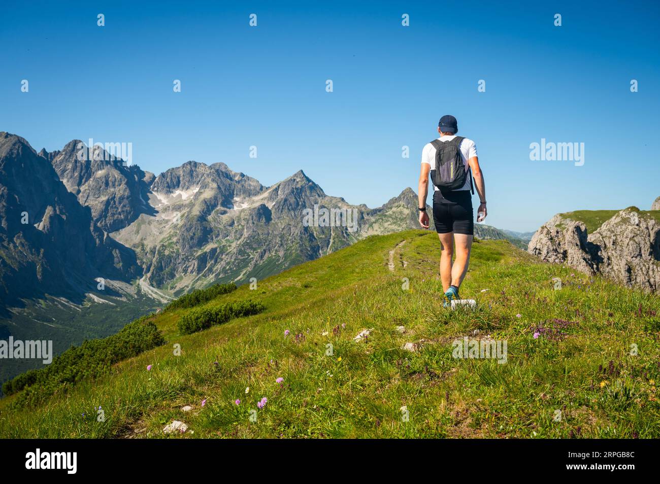 In the heart of the Belianske Tatras, a young hiker embarks on an unforgettable journey along the verdant crest, with the awe-inspiring High Tatras as Stock Photo