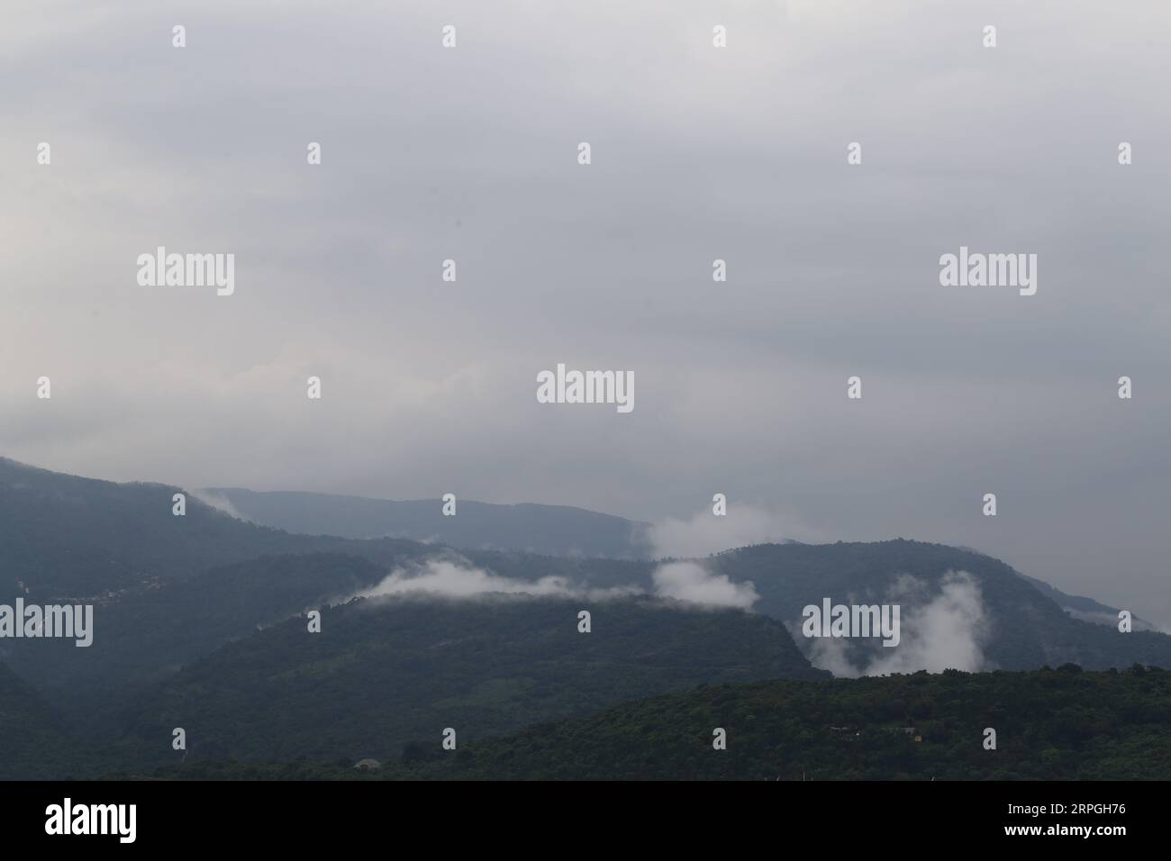 Beautiful fog layers over green hi-res stock photography and images - Alamy