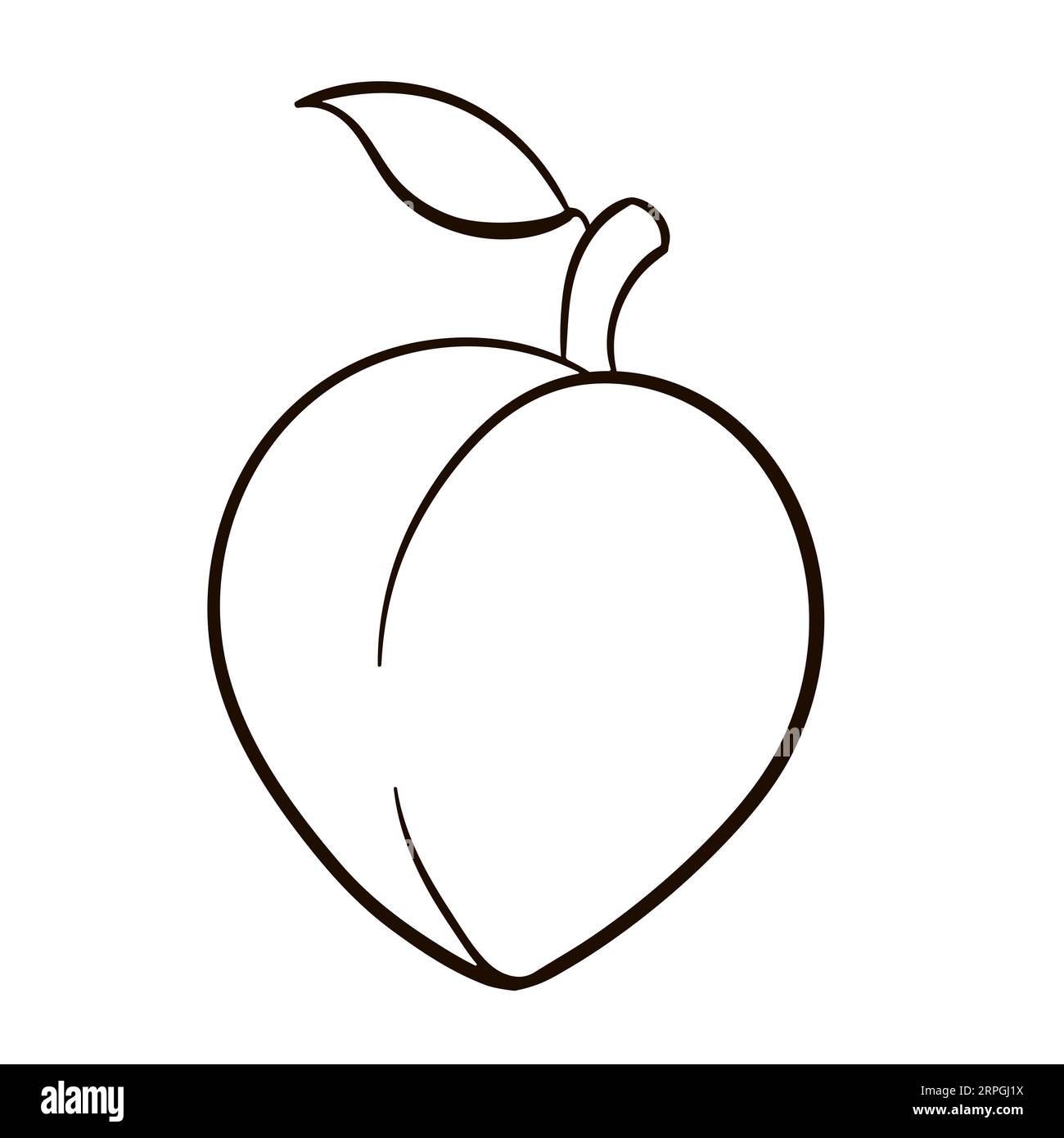 Line drawing of whole healthy organic peach for orchard logo identity. Line art vector icon. Stock Vector