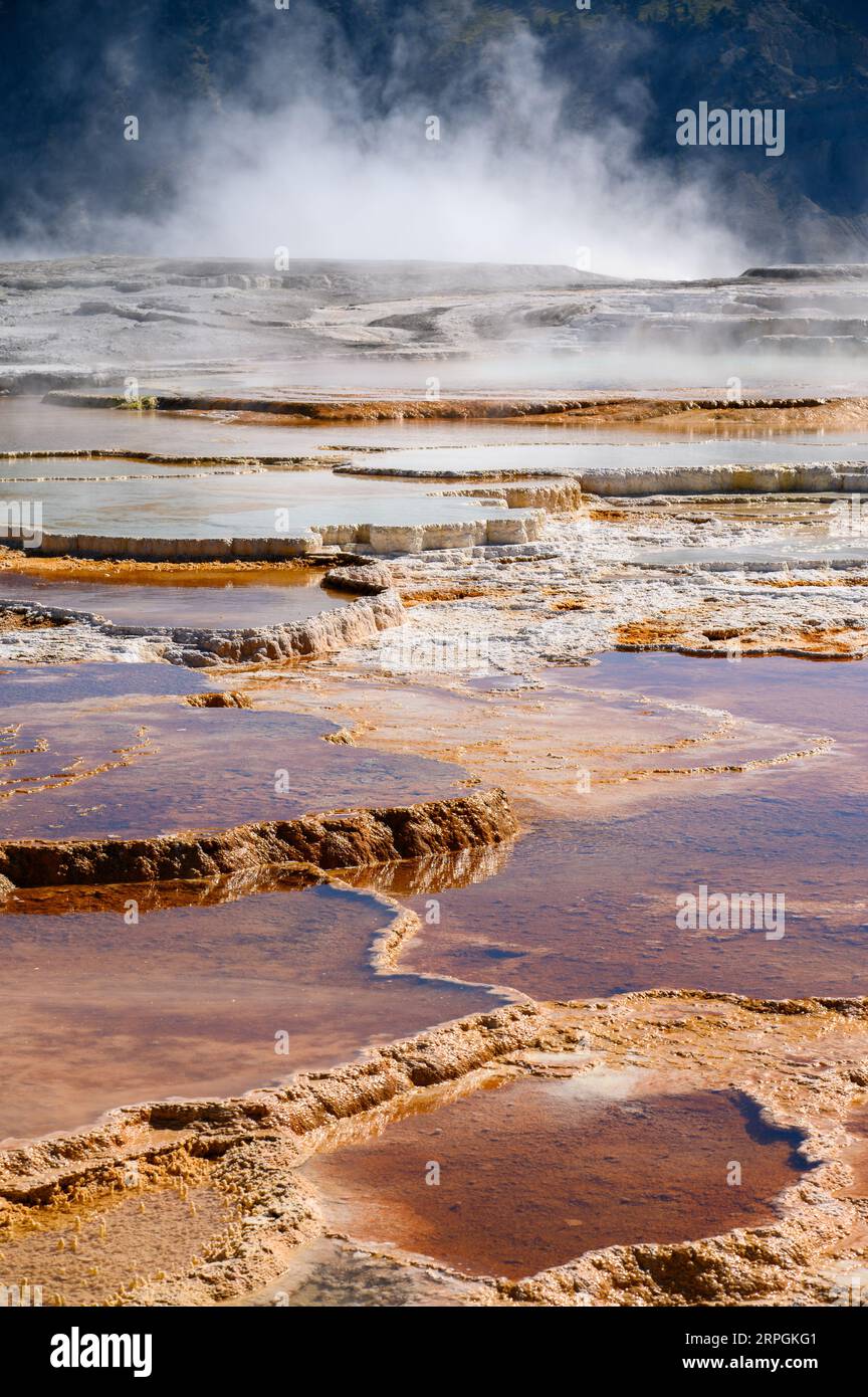 Mammoth Hot Springs in Yellowstone National Park, near Gardiner in