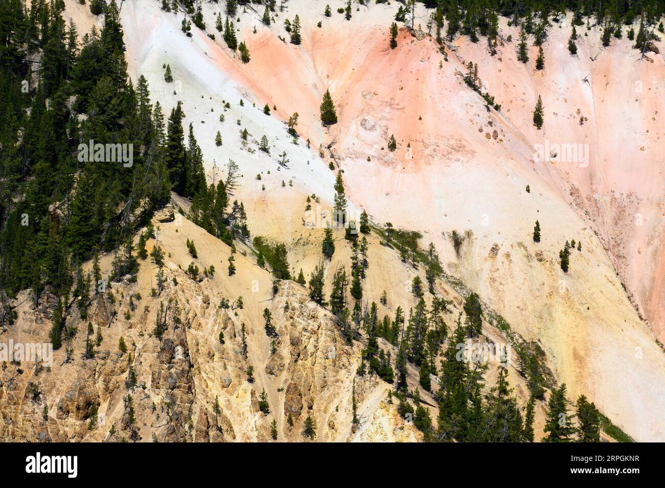 The vibrant colours of the walls of the Grand Canyon of Yellowstone in Yellowstone National Park Stock Photo