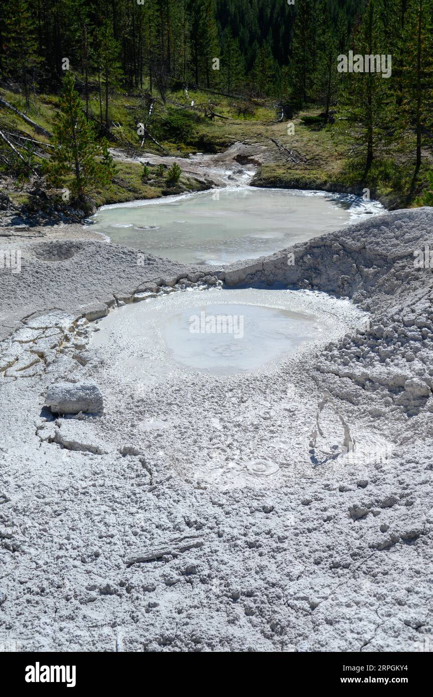 Artists Paint Pot Springs in Yellowstone National Park Stock Photo Alamy