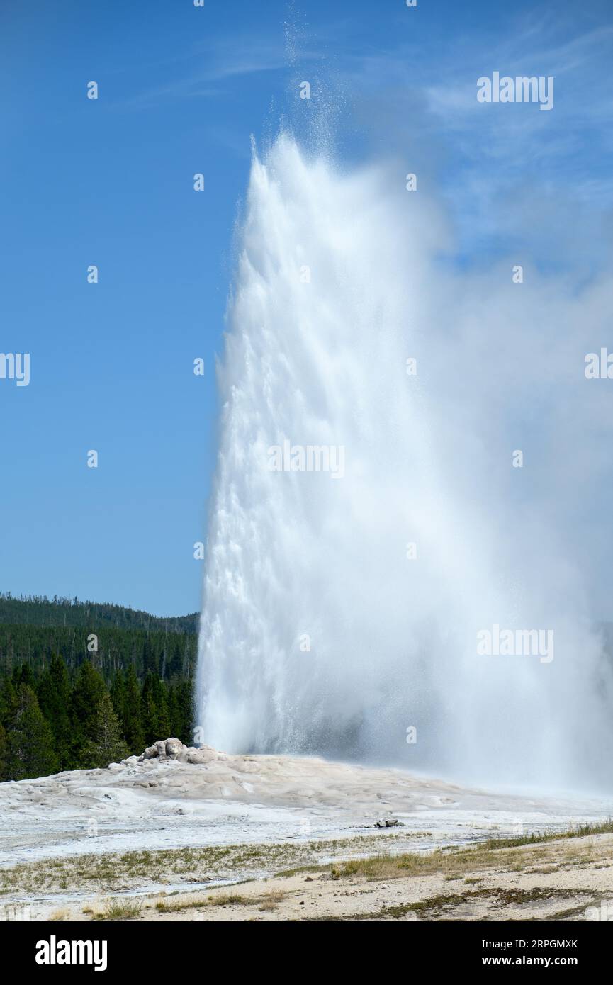 Old Faithful Geyser in erupting in Yellowstone National Park Stock Photo