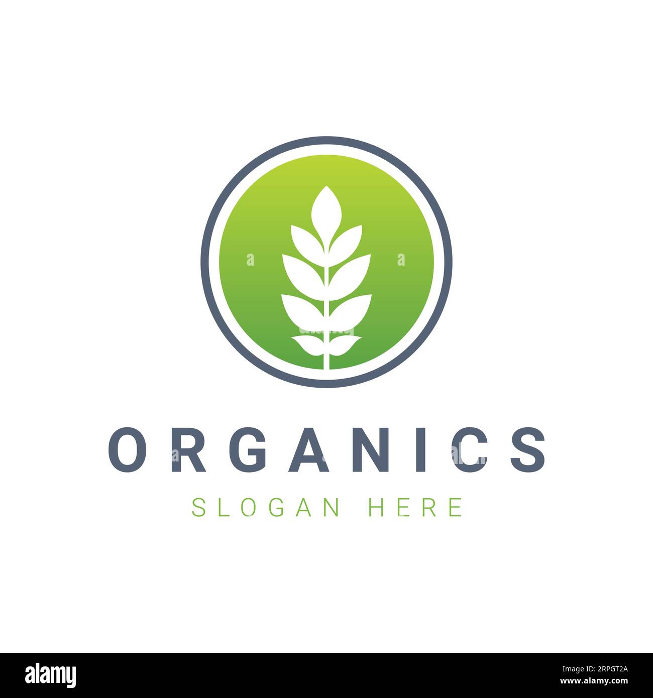 Organic Leaf Logo Design Farming Logotype Stock Vector