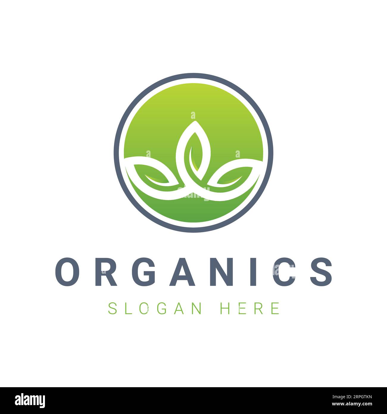 Organic Leaf Logo Design Farming Logotype Stock Vector