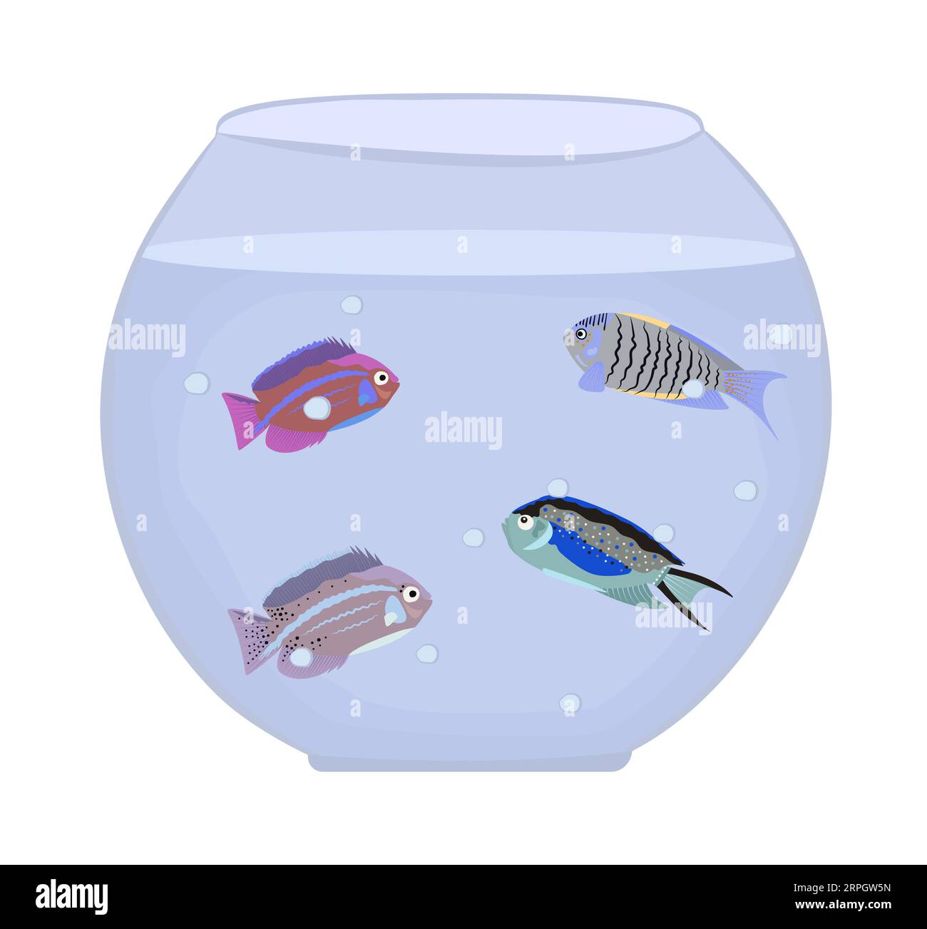 Aquarium with four different fish, color vector illustration Stock Vector