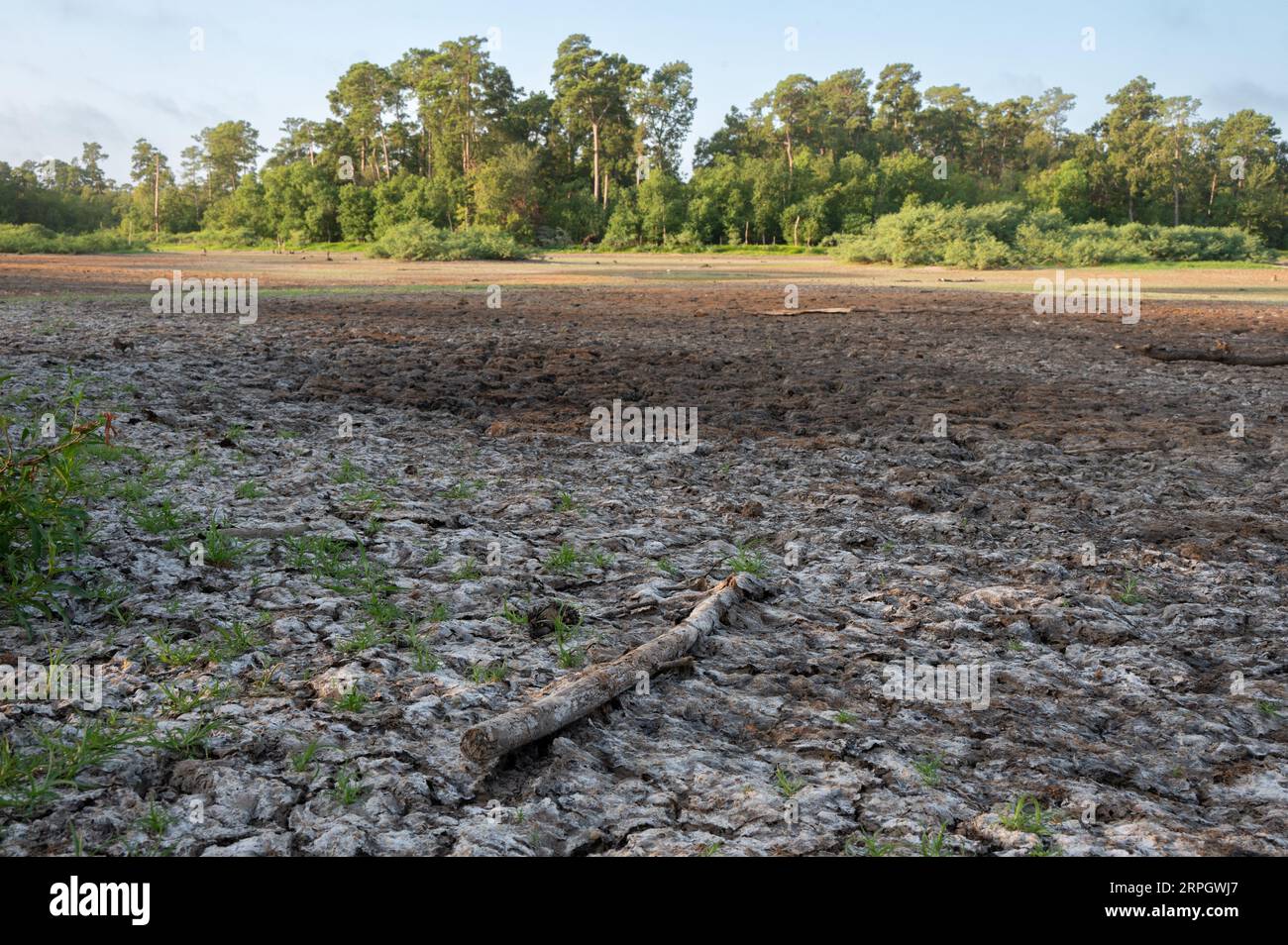 The drought in the summer of 2023 has dried out ponds and lakes in East ...