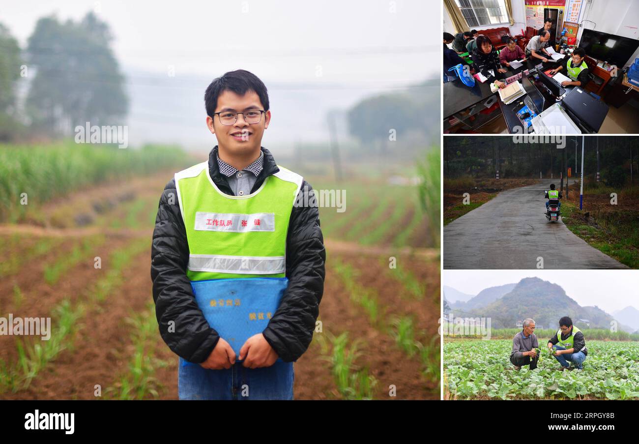 191024 -- RONG AN, Oct. 24, 2019 -- Combo photo shows 28-year-old Zhang Jian, a poverty alleviation team member, posing for a picture main image in the layout and Zhang performing his duties smaller images in the right-side column, in Liangcun Village of Dongqi Township, Rong an County, southwest China s Guangxi Zhuang Autonomous Region, Oct. 22, 2019. In March 2018, Zhang volunteered to stay and work as a poverty alleviation team member in Liangcun Village. Before that, he was a civil servant in the city of Liuzhou and his decision was met with opposition from his girlfriend, who later showed Stock Photo
