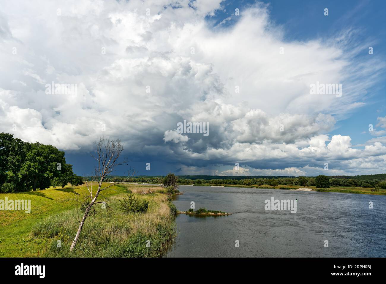 View along German-Polish border river Oder to big thunderstorm front from which partly rain falls, sunny weather, green river bank with tree, river be Stock Photo