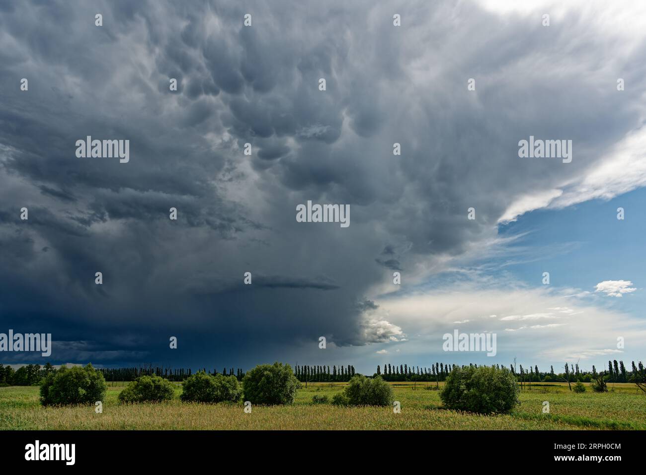 Violent thunderstorm front with threatening cloud formation, where some mammatus clouds have formed and from which rain is partly falling, over a flat Stock Photo