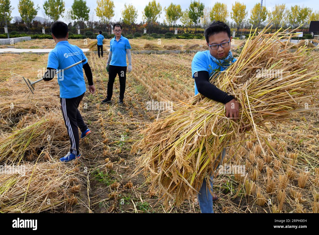 White alkali soil hires stock photography and images Alamy