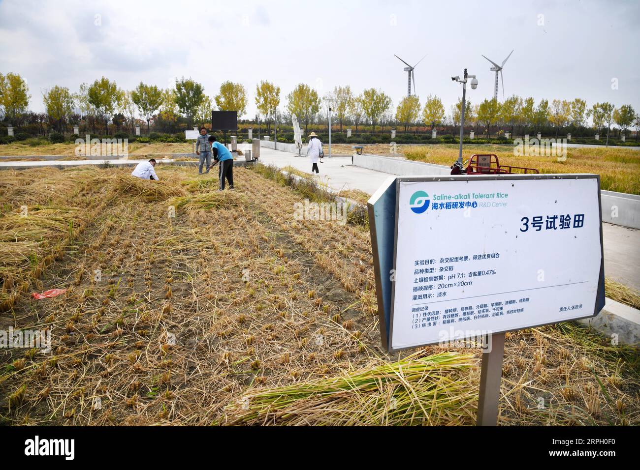 White alkali soil hires stock photography and images Alamy