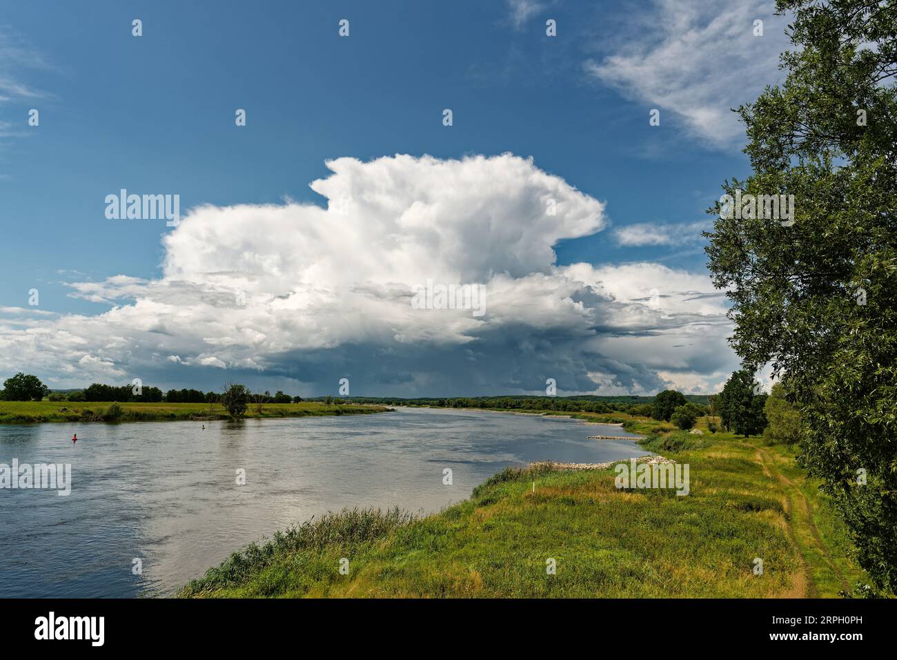 View along the German-Polish border river Oder to a big thunderstorm front, from which partly rain falls, sunny weather, green river bank with trees, Stock Photo