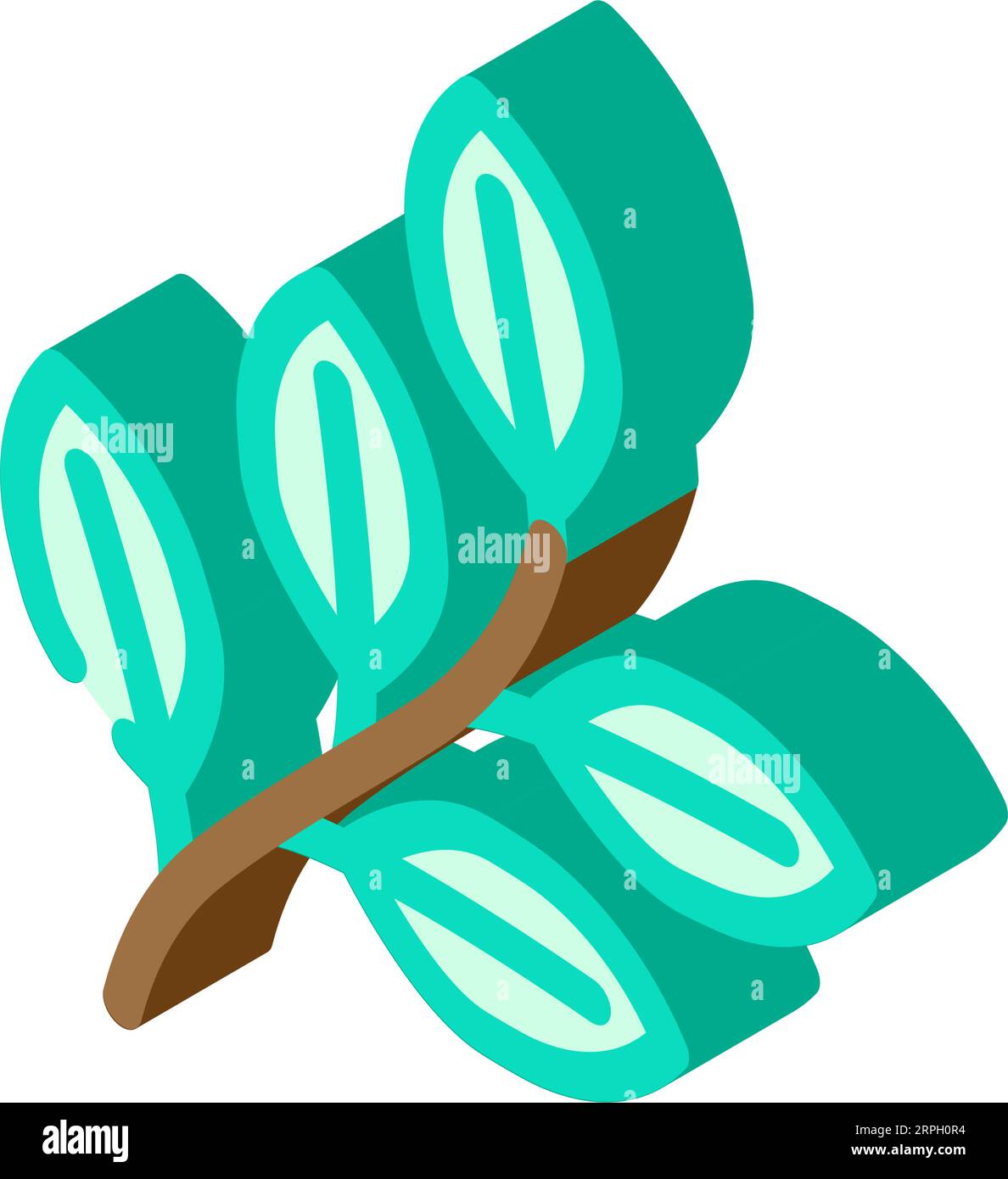sakaki tree branch shintoism isometric icon vector illustration Stock ...