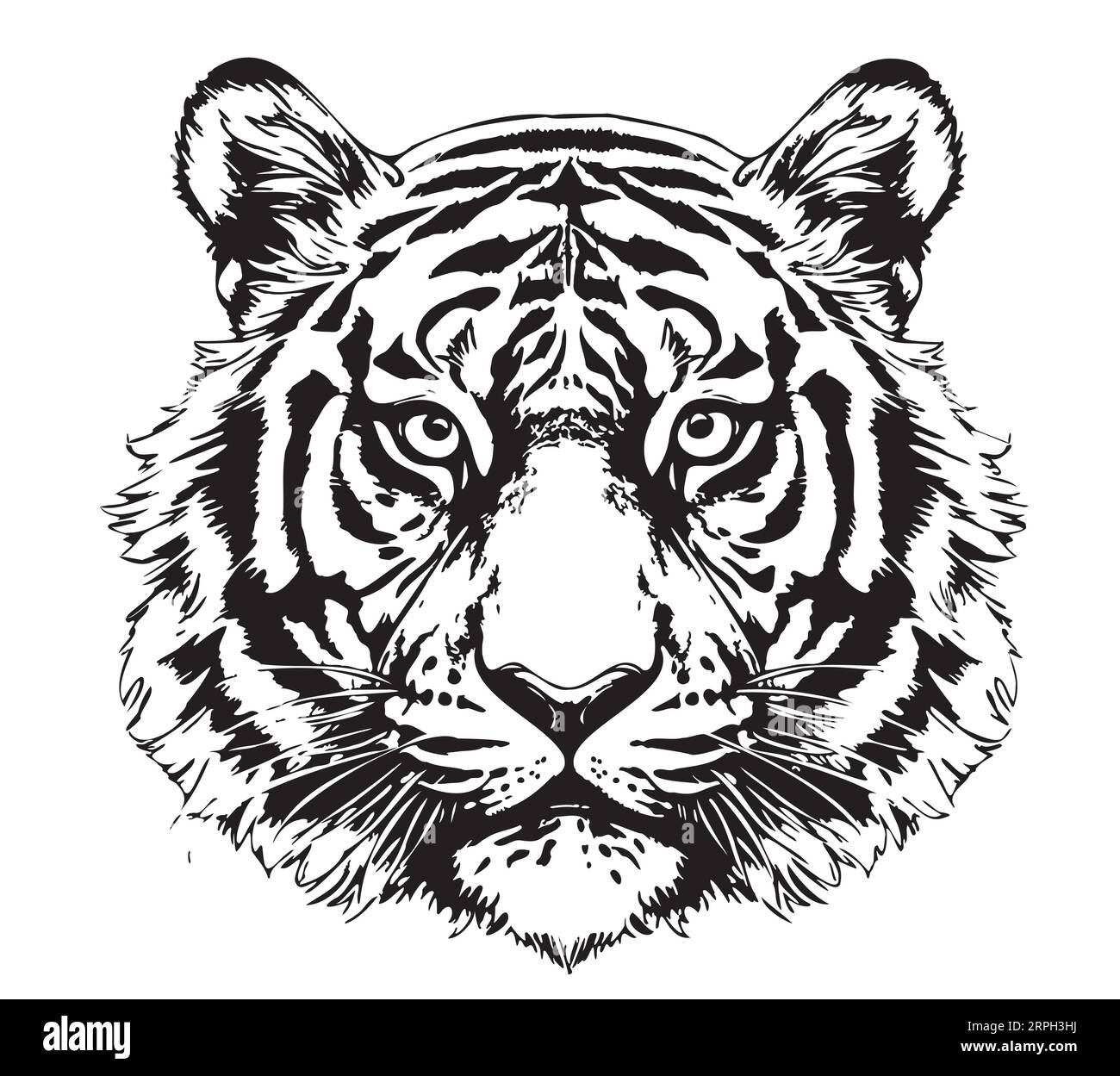 Tiger face hand drawn sketch Vector illustration Wild animals Stock ...